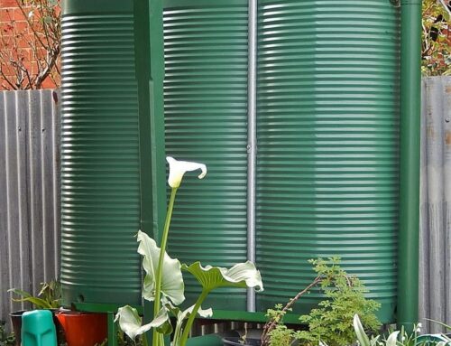 Top Reasons to Choose Professional Water Tank Cleaning