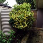 IMG_20190419_164652