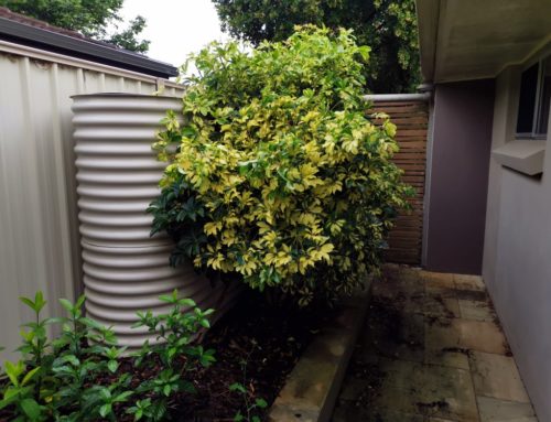 Rain Water Tank Cleaned on Southside